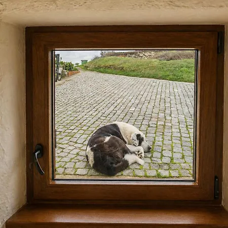 Vakantieboerderij Casas De Xisto *