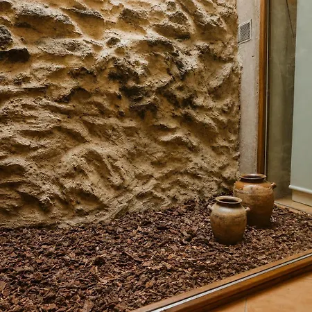 Casas De Xisto Mogadouro (Braganca)