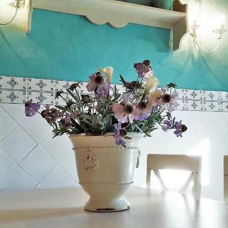 Alojamento de Turismo Rural Casas De Xisto *