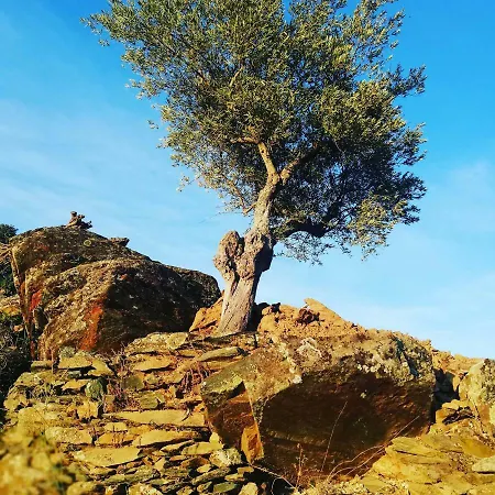 Casas De Xisto Alojamento de Turismo Rural *